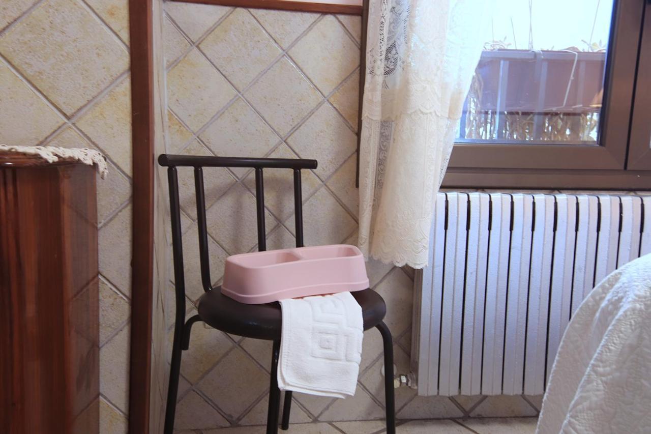 Estudios Casa Lola De Talarn Εξωτερικό φωτογραφία