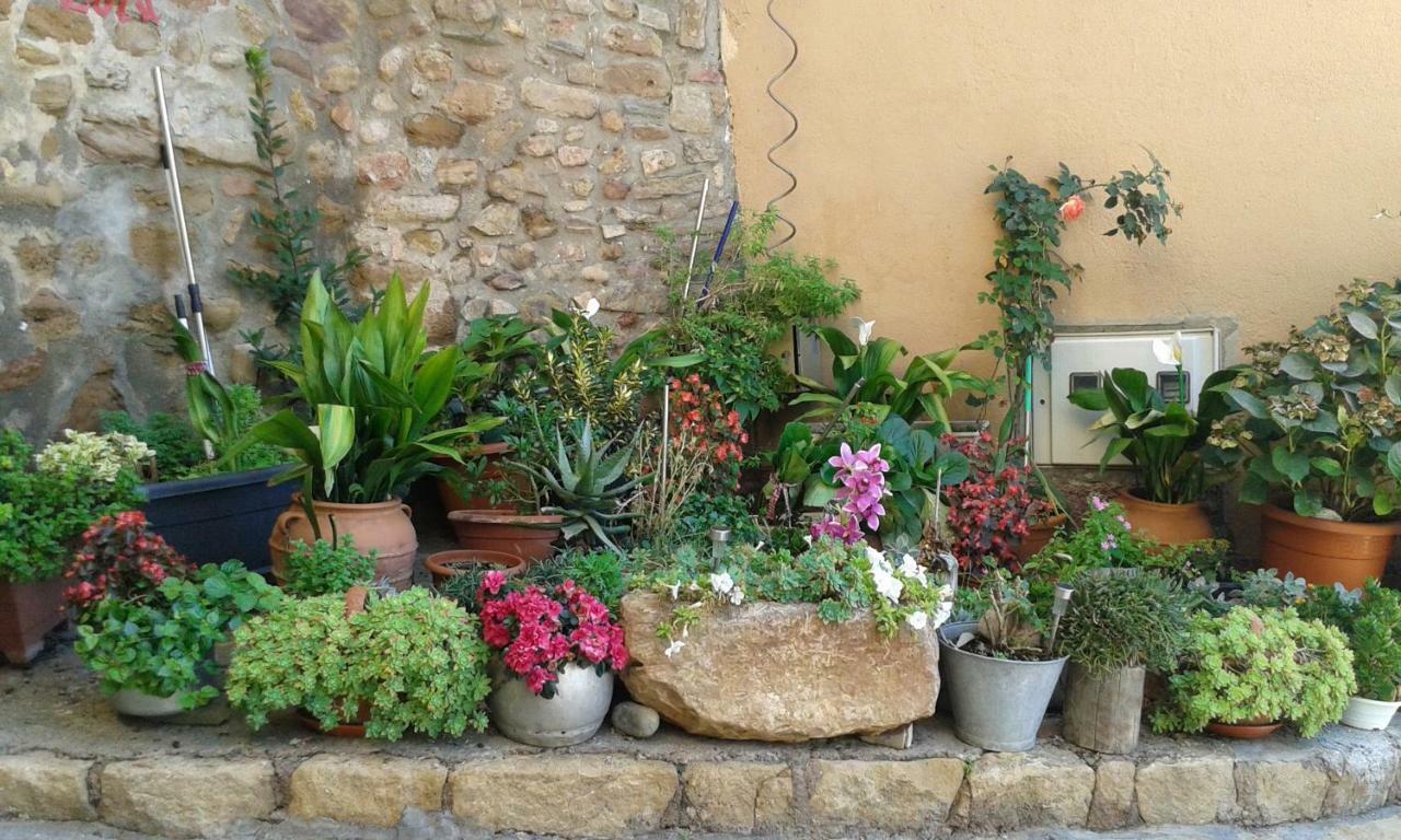 Estudios Casa Lola De Talarn Εξωτερικό φωτογραφία